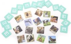 Bolseeplgoed Winkel -Bolseeplgoed Winkel 550x343 5